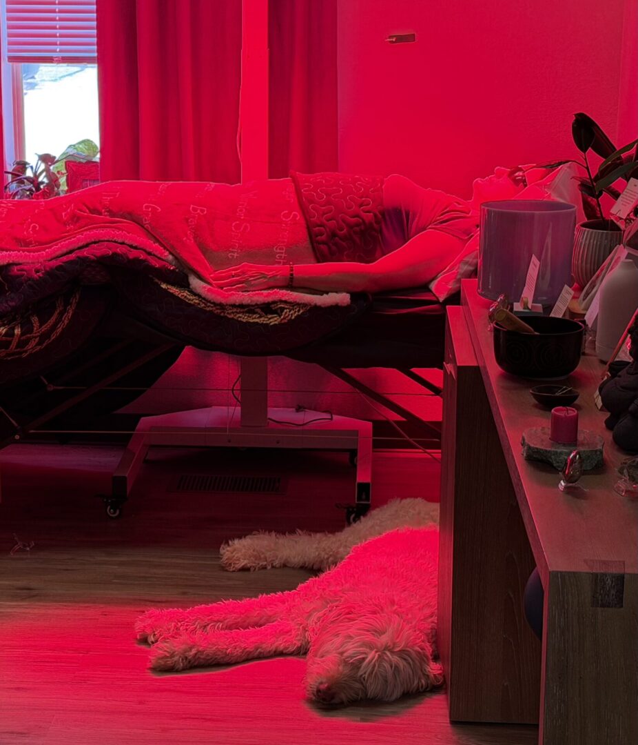 Person resting on a bed with a dog lying nearby under red lighting.